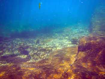 Browns bay underwater