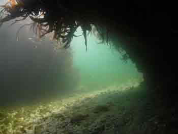 Newquay underwater
